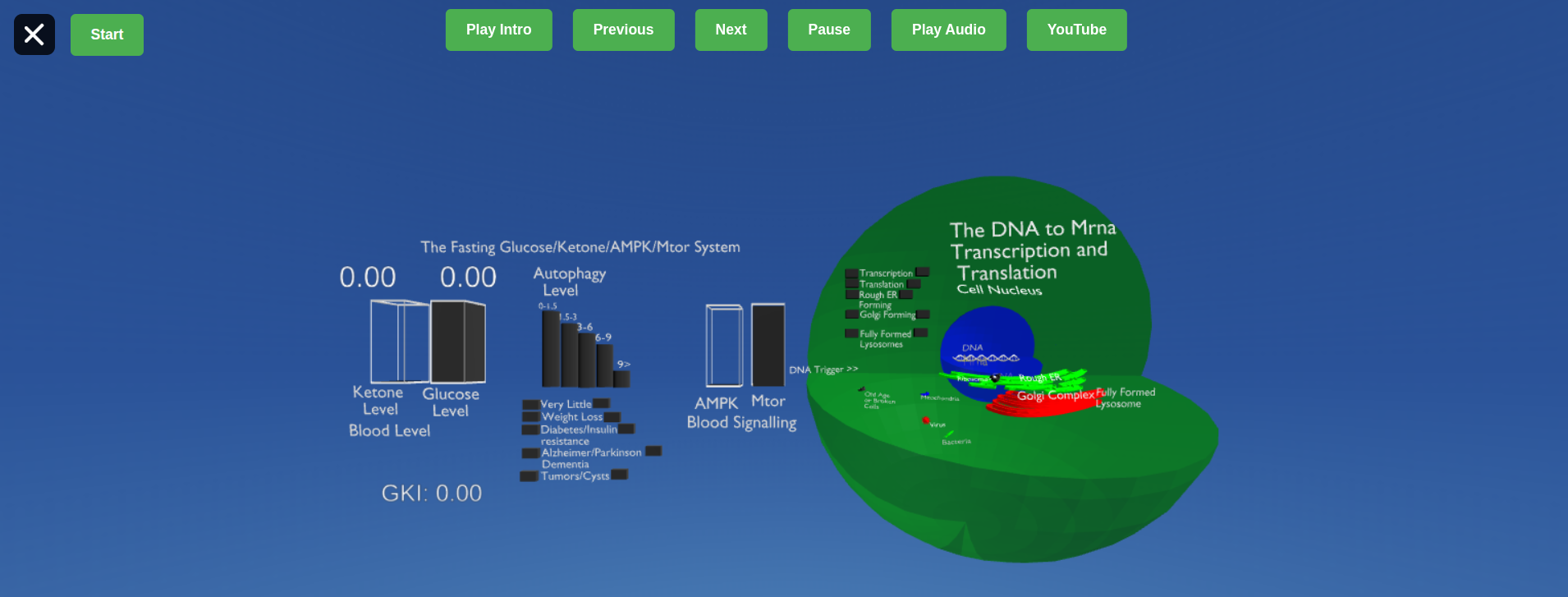 Fasting Dashboard Preview
